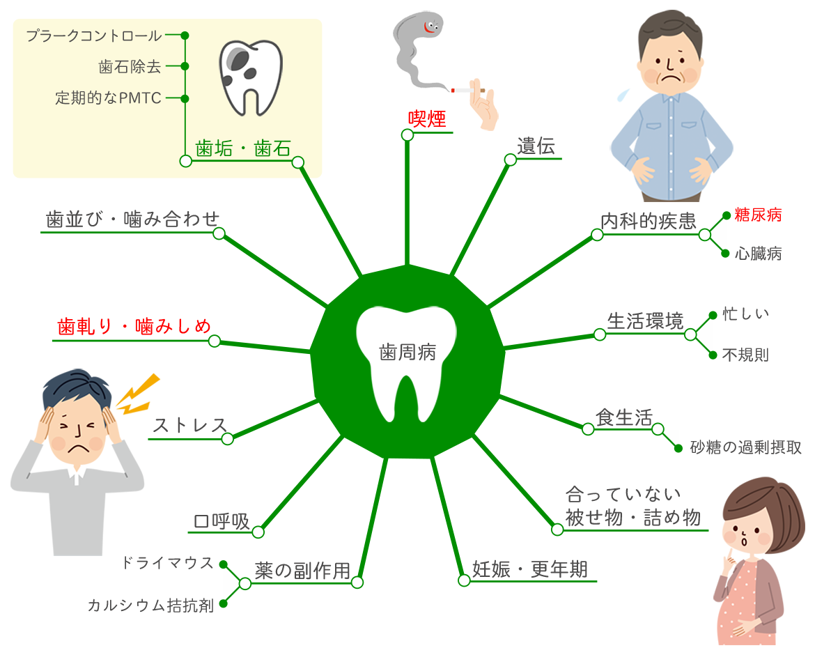 歯周病と関係が深いさまざまな要因